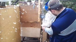 перосъемная насадка на дрель или шуруповерт.