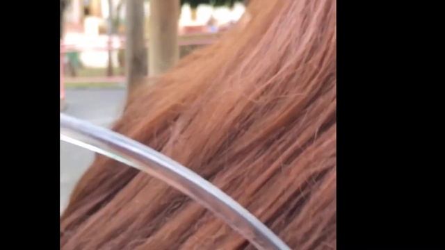 Enchanted Kingdom 2021 | New Normal | Free Entrance? смотреть онлайн