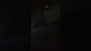 Как светят фары kia rio x premium