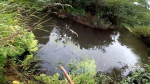 Охота за раками