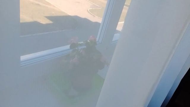 Мои заготовки овощей на зиму смотреть онлайн