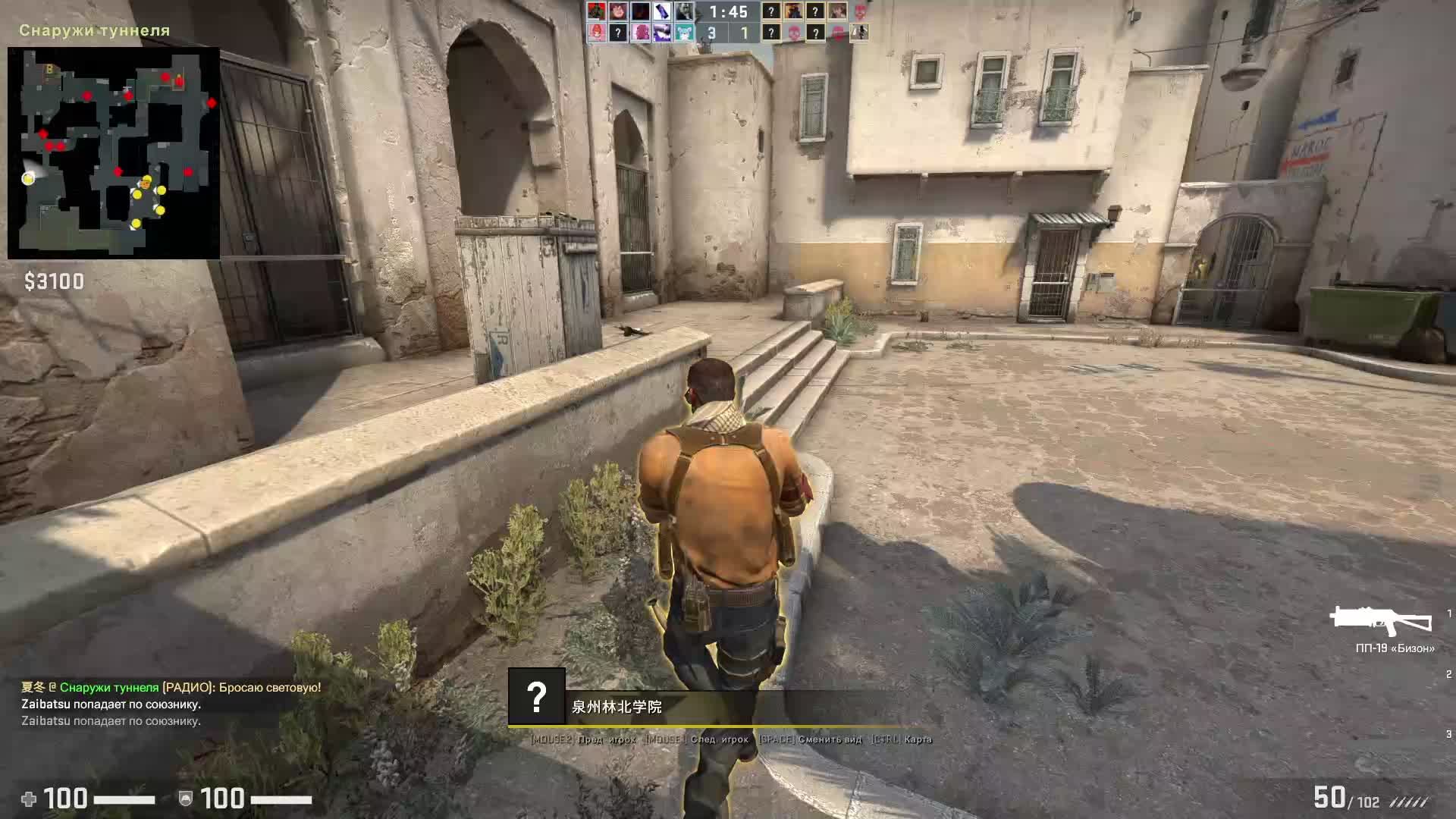 csgowtf 
