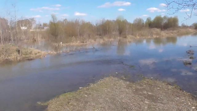 Разлив реки Томь