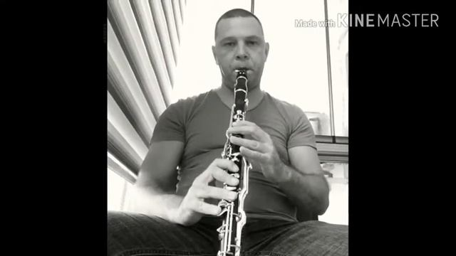 Sevda klarnet смотреть онлайн