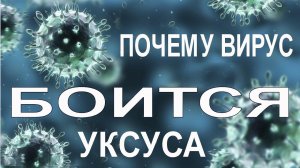 Страна ОС. Почему вирус боится уксуса.