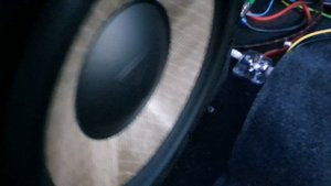 Focal Performance p25