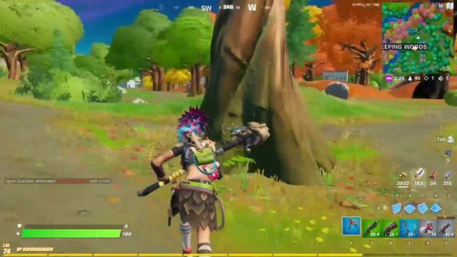 Talk to Willow Location - Fortnite Chapter 2 Season 6 Challenges смотреть онлайн