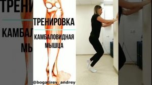 тренировка камбаловидная мышца