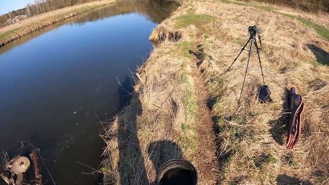 Ловля РЕЧНОГО карпа весной на фидер / день 1 / фидерная рыбалка 2021 смотреть онлайн