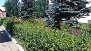 ФОТО МОЕГО ГОРОДА ЛУТУГИНО?????
