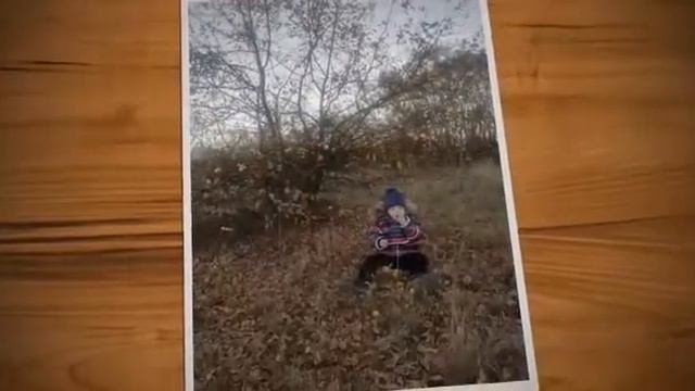 Что нам осень подарила, группа 9