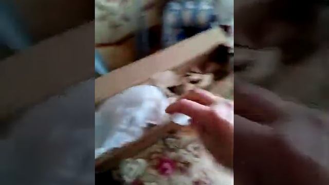 первая посылка в этом сезоне из интернет магазина русский огород смотреть онлайн