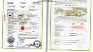 Как заполнить разрешение (Дозвол) на перевозку из/на/через Узбекистан