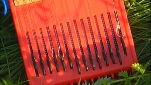 Ловля  на фидер, плотва на фидер