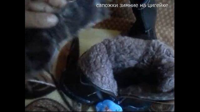 коричневые сапожки на цигейке TOLIK смотреть онлайн