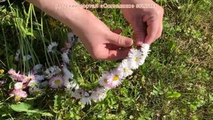Венок из полевых цветов своими руками. Как плести венок на голову. Wreath of flowers