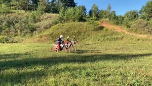 Школа мотокросса ZRT Тренировка старта