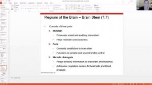 Biol 109 Chapter 7 Central Nervous System