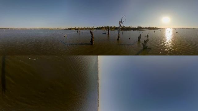 Murray River, New South Wales, Victoria & South Australia, Australia | 360 Video | Tourism Australi смотреть онлайн