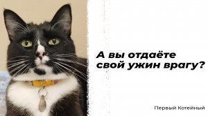 А вы отдаёте свой ужин врагу? ?️ #котки #ирония #приколы #животные #юмор #сатира #прикол