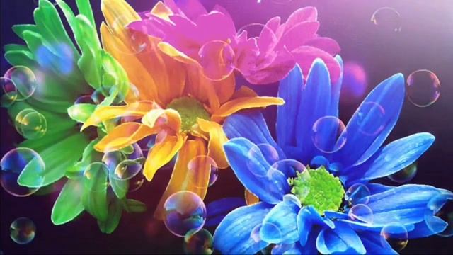 Валентина Синчук Цветы к ногам Верочки ЗуйкоГАВРИЭЛЛЫ!