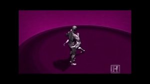 Бокатор -  камбоджийское боевое искусство