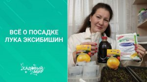 Маленькие секреты громадного лука. Как в феврале посадить Эксибишен из семян. Делимся опытом.