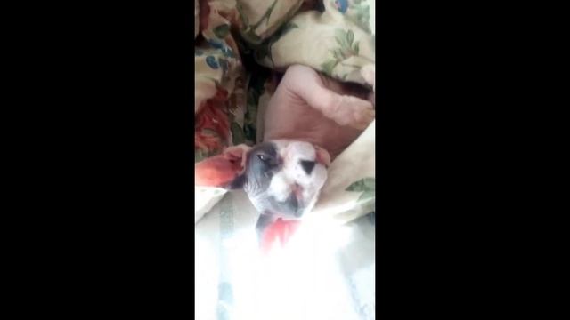 покажи свою киску..... смотреть онлайн