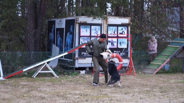 C0015 смотреть онлайн