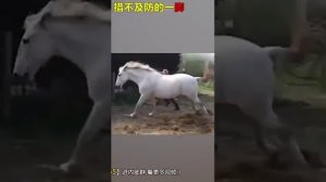 Удар копытом