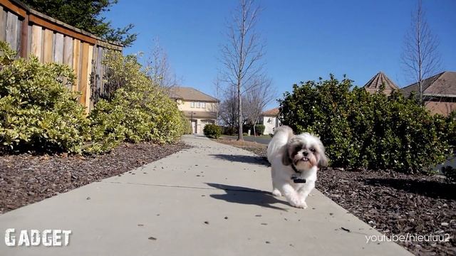 Panasonic GH3 Test (Slow Motion) смотреть онлайн