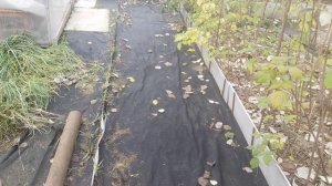 На огороде болото? Опики в помощь