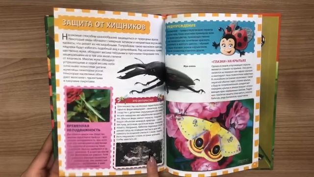 Мир насекомых. Популярная детская энциклопедия