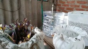 Садовые фигурки из цемента. Дом в селе, как украсить  приусадебный участок своими руками.