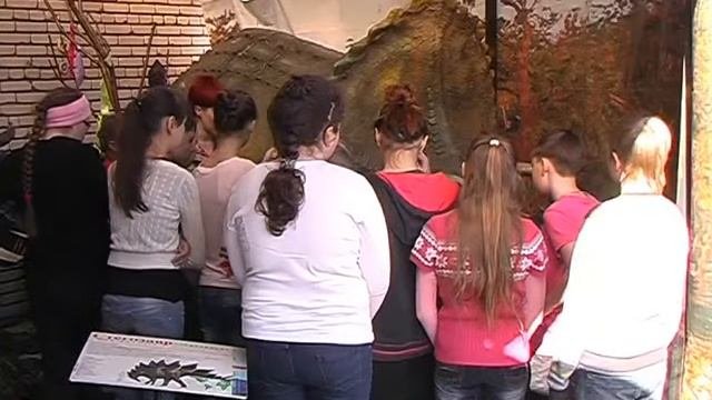 Юные кузнечане побывали на экскурсии в краеведческом музее. Апрель 2013 год.