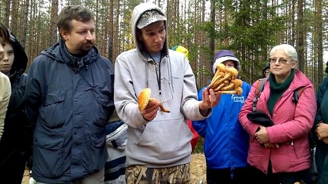 Чешуйчатка обыкновенная