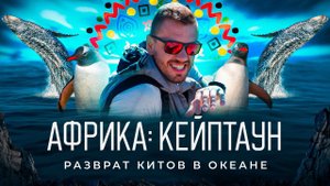 Африка: Кейптаун | Киты, пингвины и океан