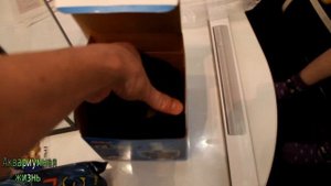 Запуск креветочника