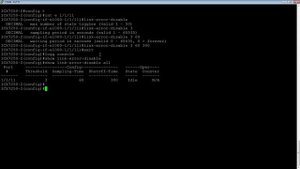 Brocade PORT FLAP DAMPENING AKA LINK ERROR DISABLE