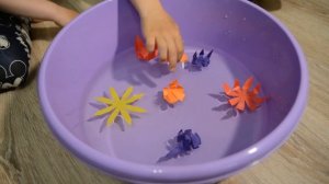Фокусы с водой! Magic tricks with water! Эксперименты с водой! ЦВЕТЫ РАСПУСТИЛИСЬ В ВОДЕ!