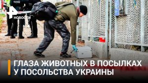 Кровавые посылки в посольства Украины в Европе: у дверей оставляют пакеты с глазами животных