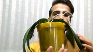 Заметка Фаленопсис Грин Стар