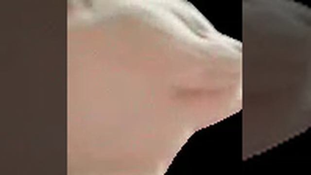 изи!
