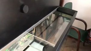 Обзор аквариума ZelAqua 200 л