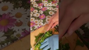 Приправа, чертополох на зиму.Очень вкусный рецепт