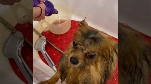 Показательный мастер-класс по использованию косметики Hydra