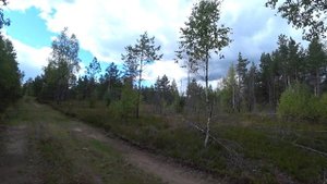 Заходское. Military style. Прогулка по озерам Заходского, Бобочинскому полигону.