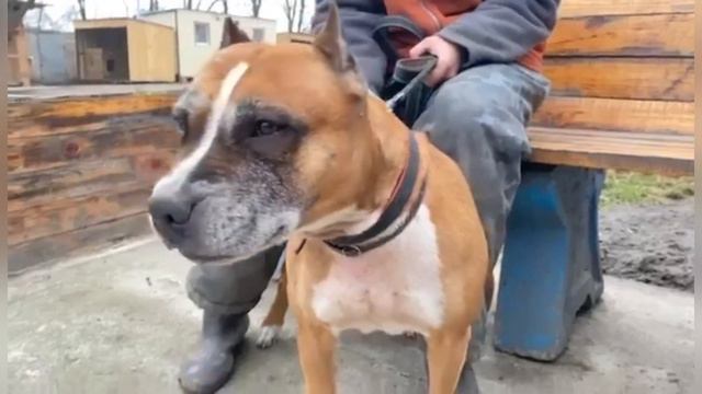 У Руби сегодня взяли кровь на сахар, девочка пьёт много воды , решили провериться. Все - НОРМА смотреть онлайн