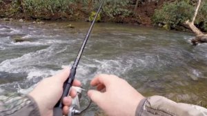 Crappy Day Trout fishing in  Southwest Virginia!