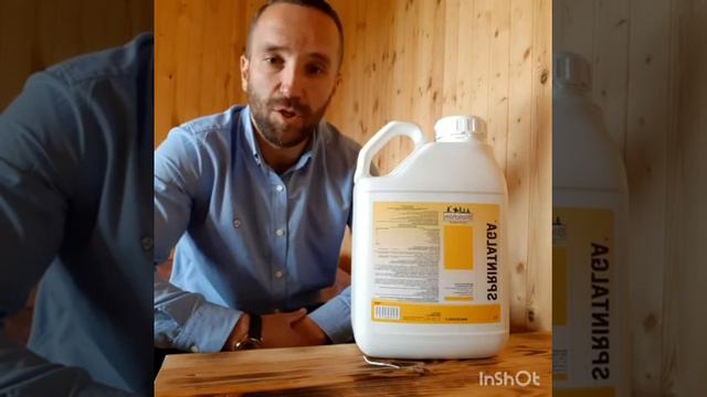 Спринталга SPRINTALGA